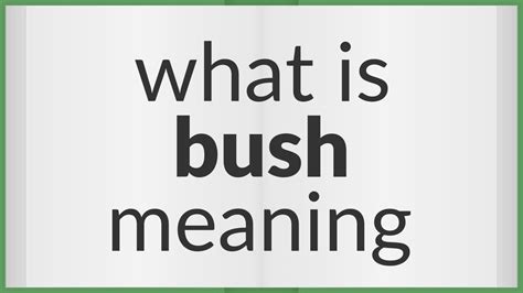 busher meaning tagalog|busher in Tagalog .